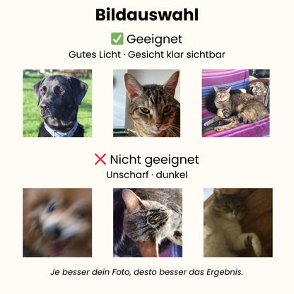 Bildauswahl